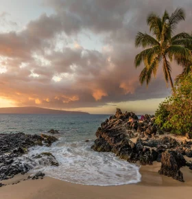 Image_Editor-3-1536x1536