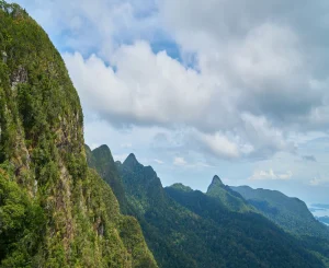 Image_Editor-4-1536x1536