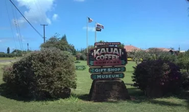 Kauai-Coffee-company-706-x-529 (1)