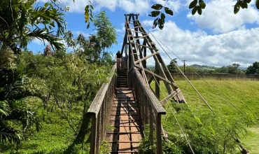 Kauai-Coffee-company-706-x-529